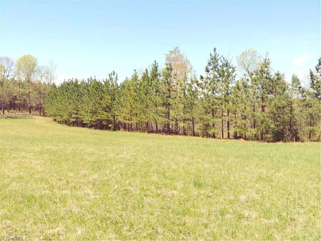 0 New Lebanon Church Road - Photo 1