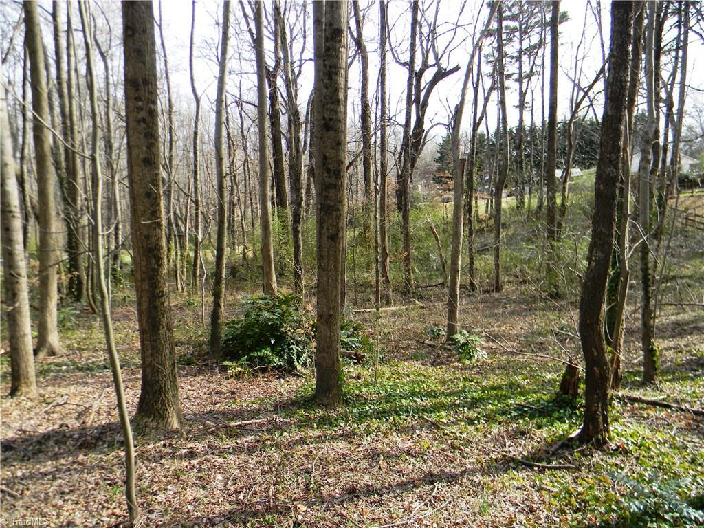 0 Shallowford Road - Photo 1