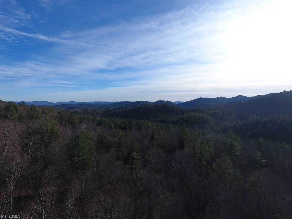 0 Reedy Branch Road - Photo 1
