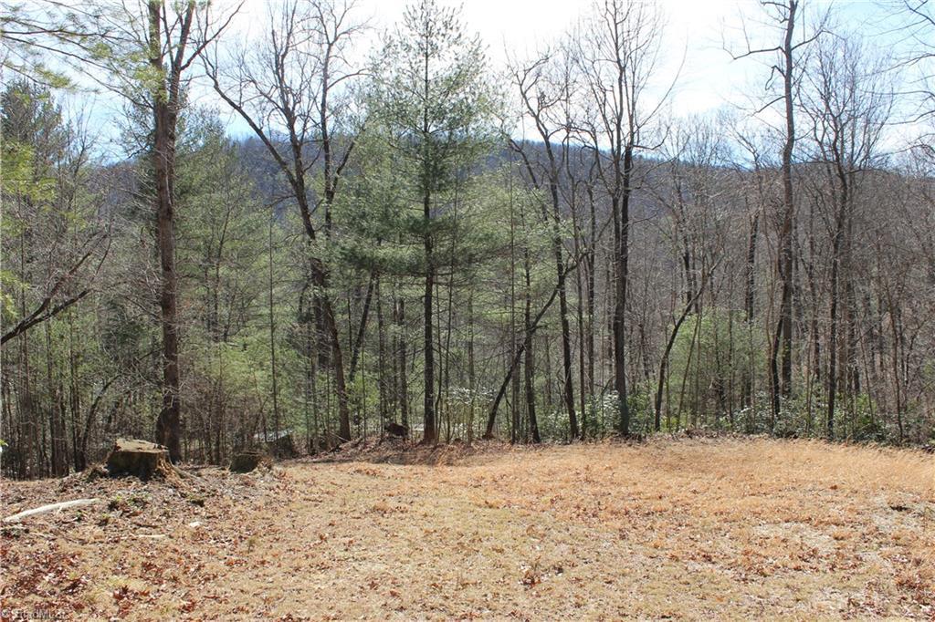 1536 Mertie Road - Photo 1