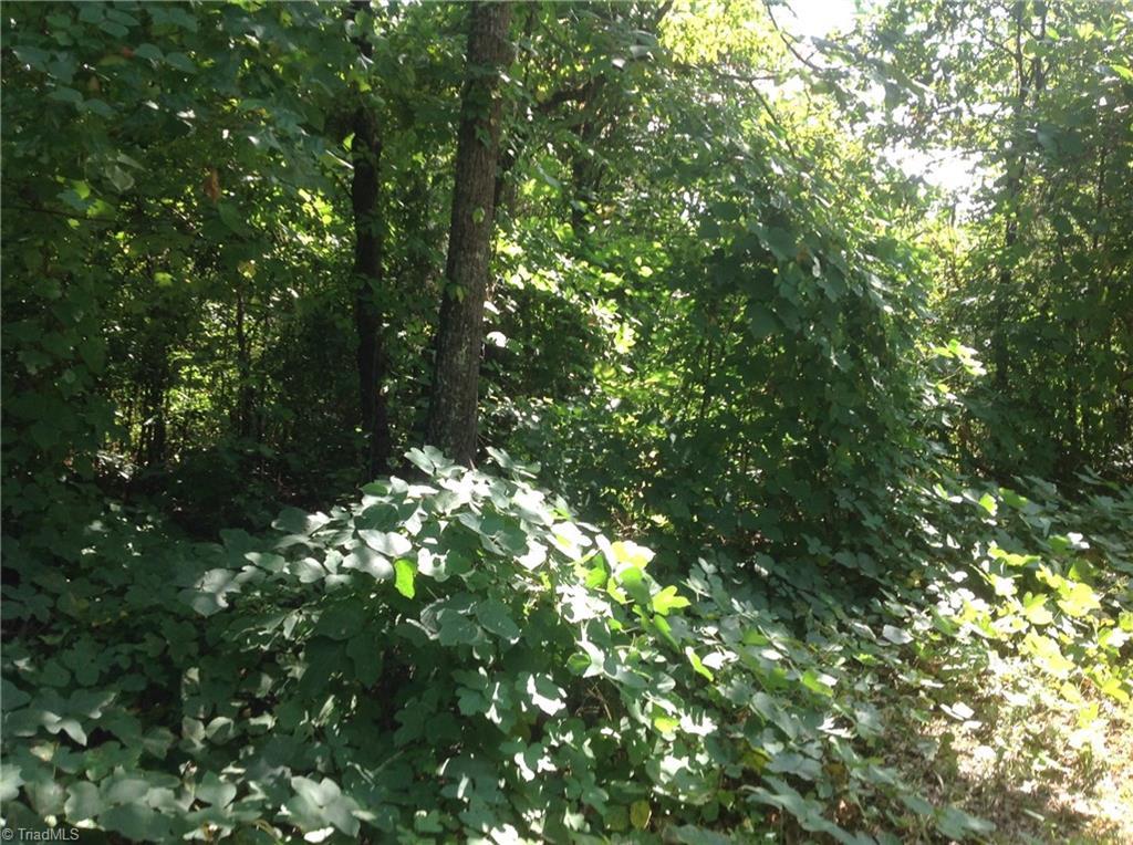 0 Eliason Lane - Photo 1