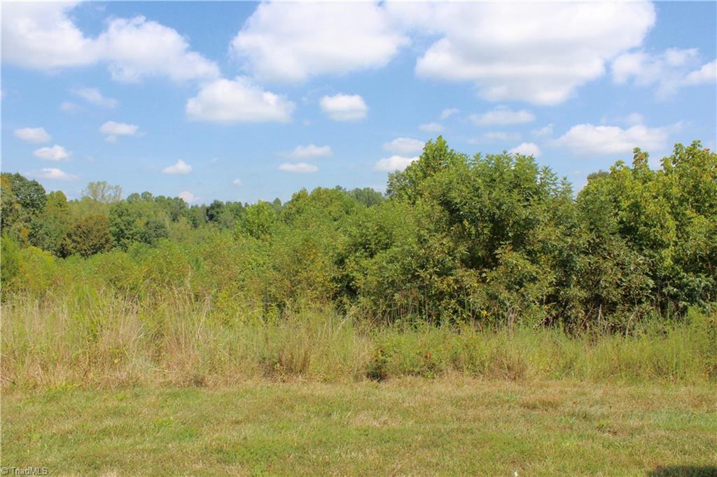 2415 Wellsburg Court - Photo 1