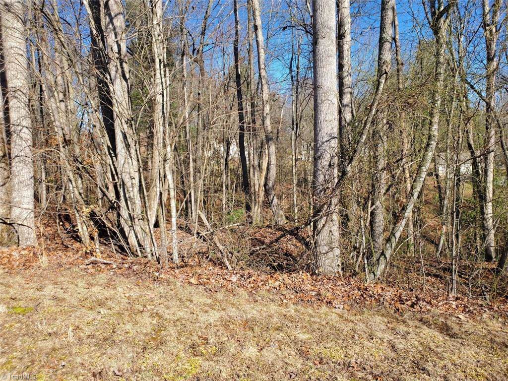 31 Ridge Lane - Photo 1