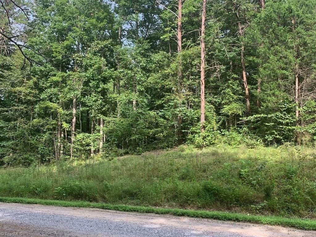 223 Beech Valley Road - Photo 1