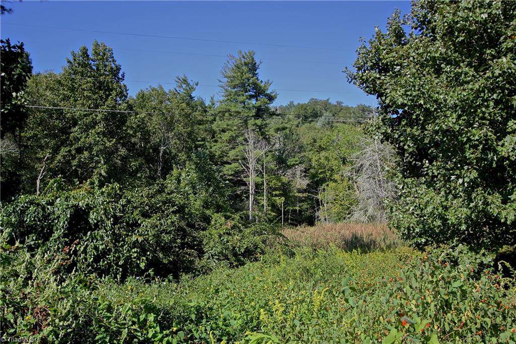 1 Laurel Lane - Photo 1