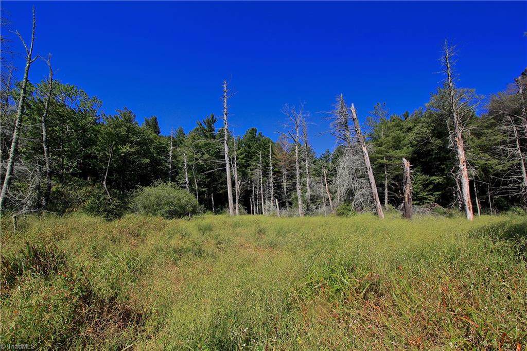 00 Laurel Lane - Photo 1