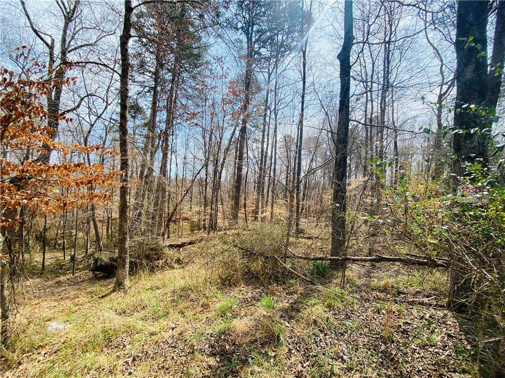5214 Williard Road - Photo 1