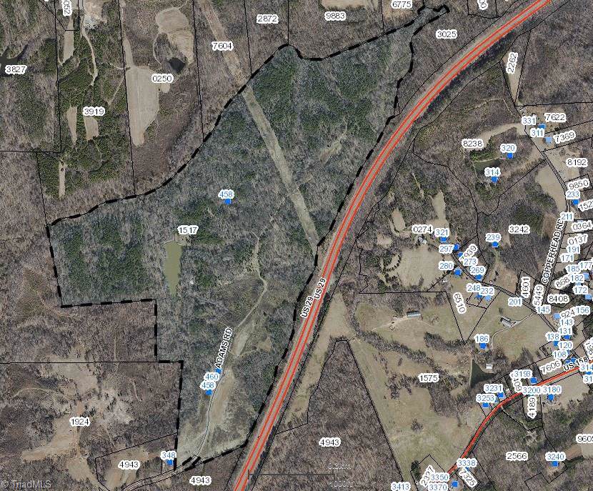 458 Adams Road - Photo 1