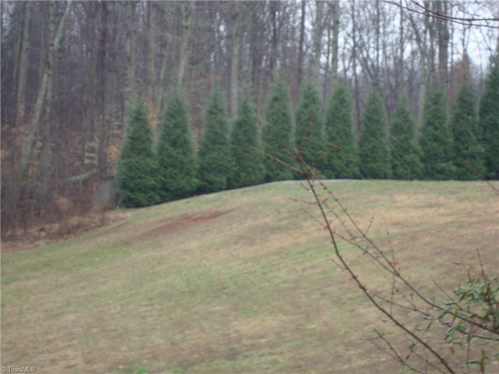 9105 Greythorne Court - Photo 1