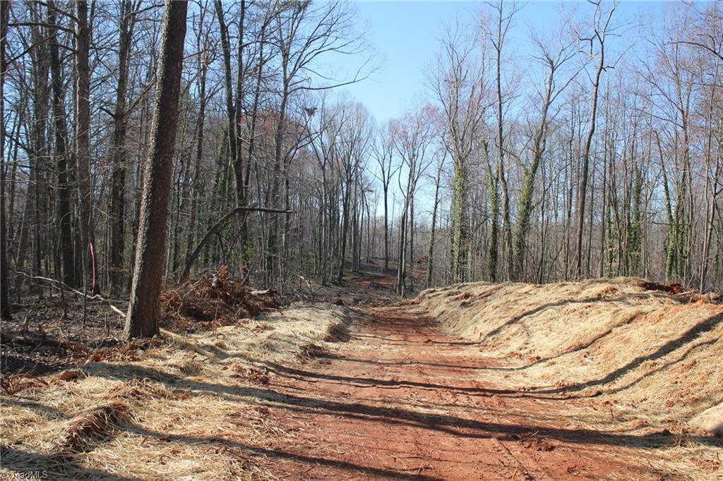 6539 Us Highway 158 - Photo 1