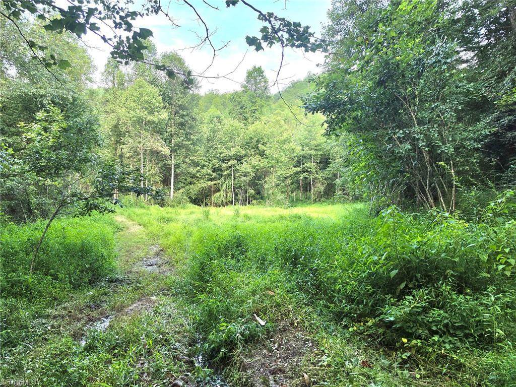 00 Elk Creek Darby Road - Photo 1