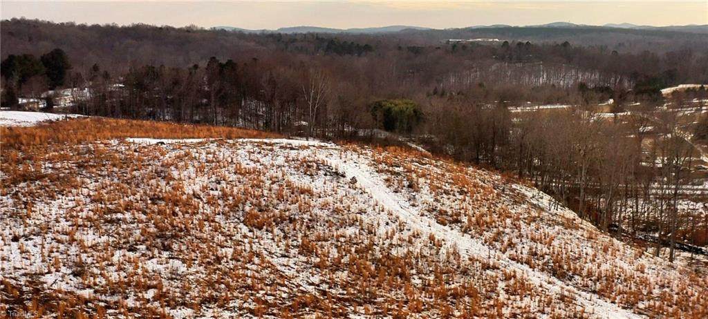 Lot 10 Skeens Mill Road - Photo 1