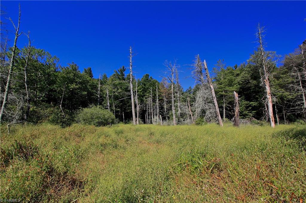 2 Laurel Lane - Photo 1