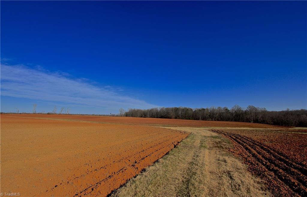 8300 Meadow Green Road - Photo 1