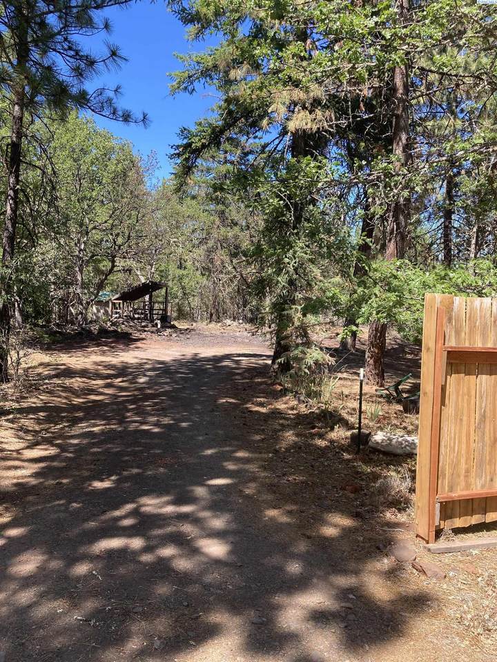 54 Ponderosa - Photo 1
