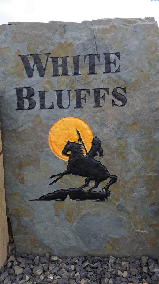 1007 Makah Ct - Photo 1