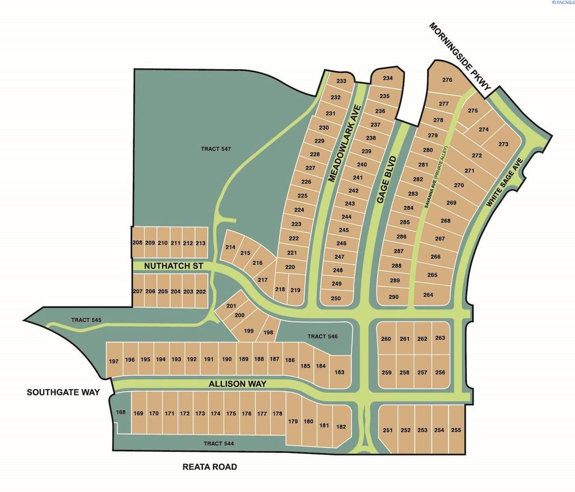 NKA Whitesage Avenue Lot 269 - Photo 1