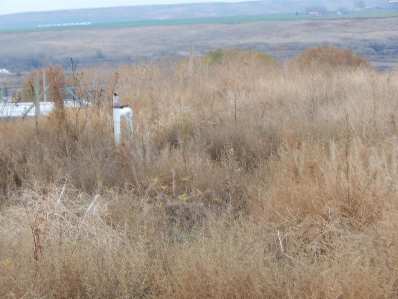 KNA Rebecca Rd - Photo 1