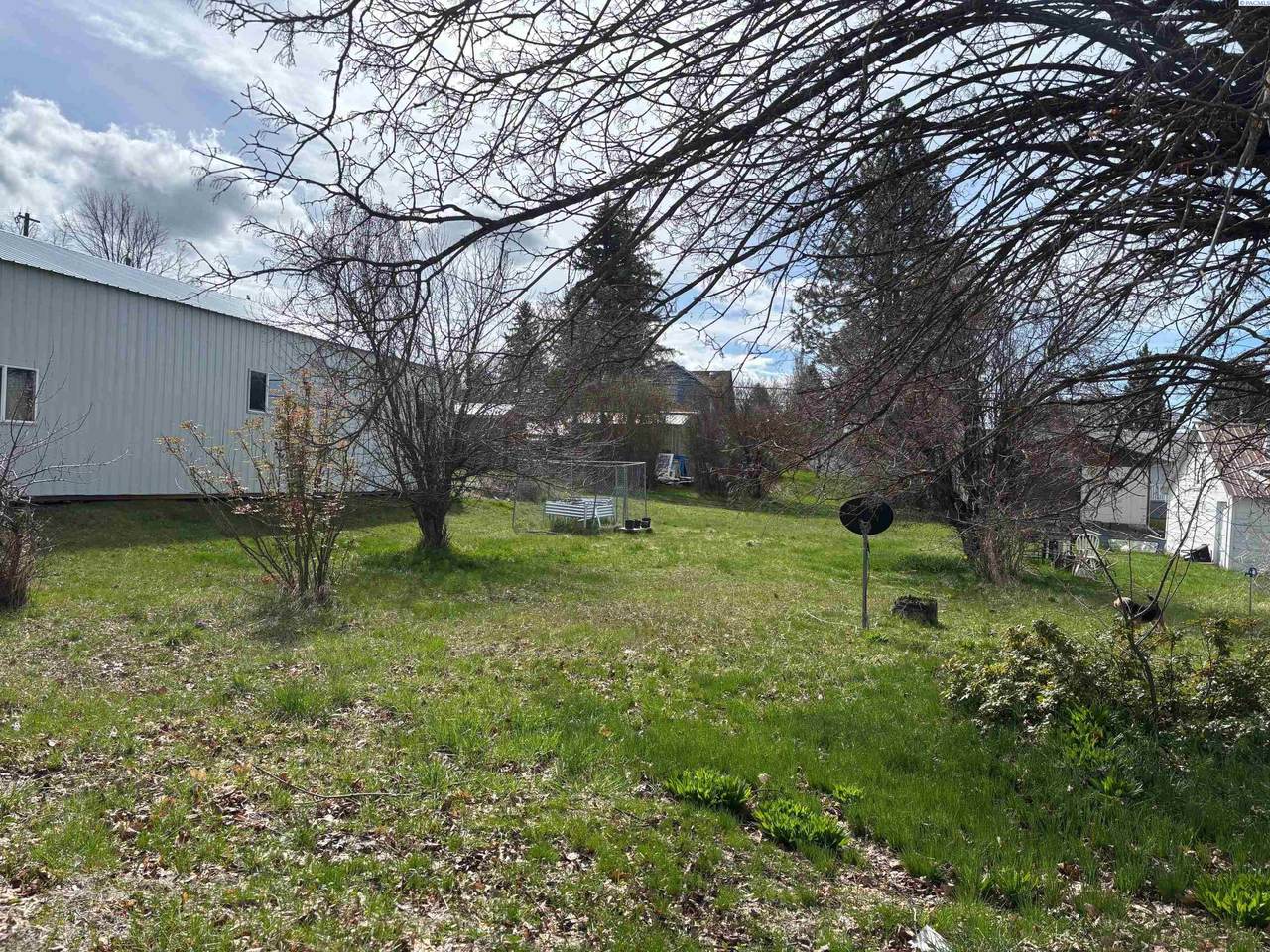 TBD Bluff St - Photo 1