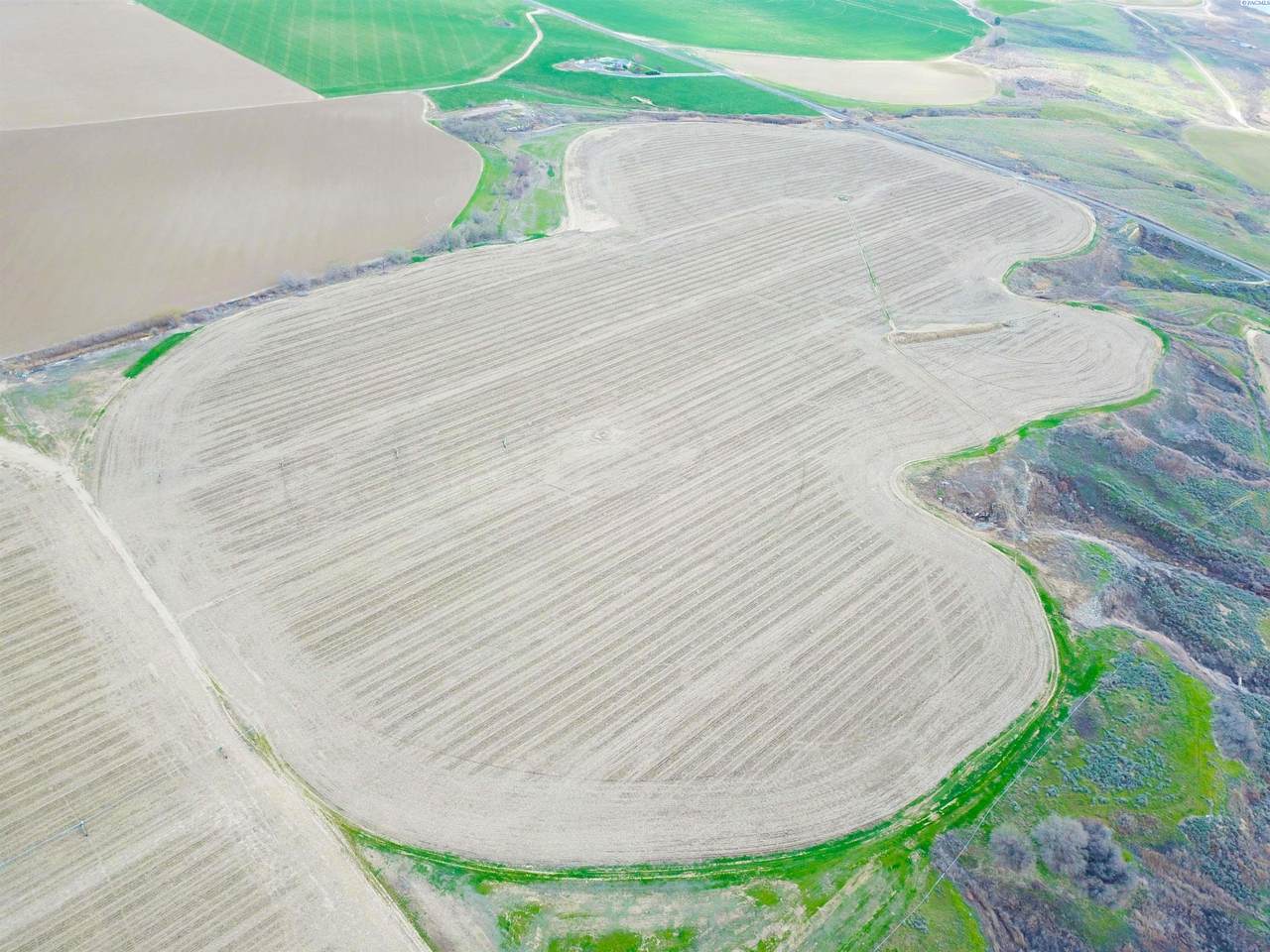 NKA Paradise Rd (Ptn Blk 18, Fu 221) - Photo 1