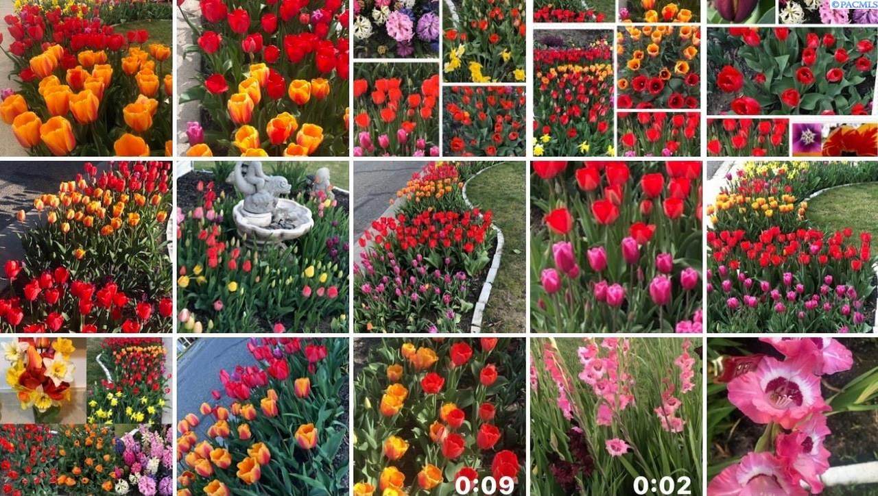 https://bt-photos.global.ssl.fastly.net/tricity/1280_boomver_2_291832-2.jpg