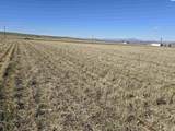 50411 C Williams Rd - Photo 11