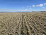 50411 C Williams Rd - Photo 10
