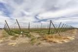 TBD Apricot Rd - Photo 11