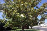 1815 16th Ave. - Photo 27