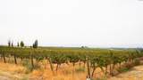 54402 Hinzerling Rd. - Photo 11