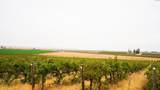 54402 Hinzerling Rd. - Photo 18