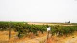 54402 Hinzerling Rd. - Photo 24