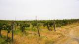 54402 Hinzerling Rd. - Photo 38
