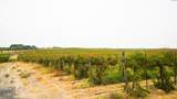 54402 Hinzerling Rd. - Photo 39