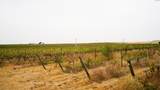 58802 Hinzerling Rd. - Photo 33