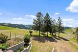 6379 Lewis Peak Road - Photo 30