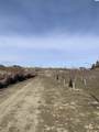 630 Moore Rd - Photo 7