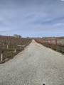 630 Moore Rd - Photo 8