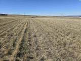 50411 C Williams Rd - Photo 13