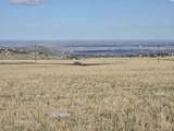 50411 C Williams Rd - Photo 19