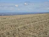 50411 C Williams Rd - Photo 20