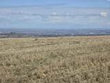 50411 C Williams Rd - Photo 21
