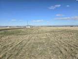 50411 C Williams Rd - Photo 25