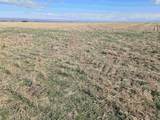 50411 C Williams Rd - Photo 27