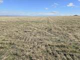 50411 C Williams Rd - Photo 28