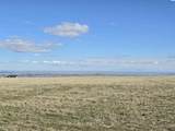 50411 C Williams Rd - Photo 29