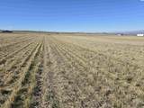 50411 C Williams Rd - Photo 3
