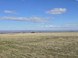 50411 C Williams Rd - Photo 30