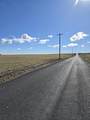 50411 C Williams Rd - Photo 34
