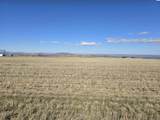 50411 C Williams Rd - Photo 7